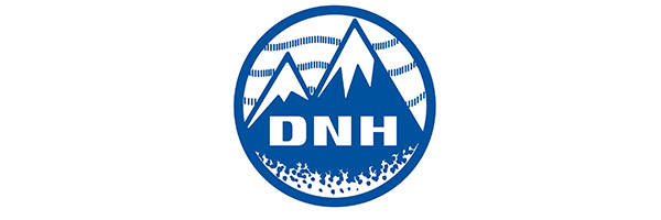 DNH A/S