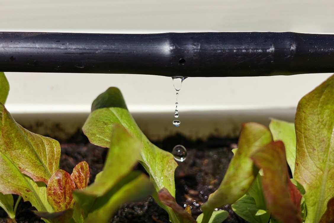 点滴灌漑システムのイメージ