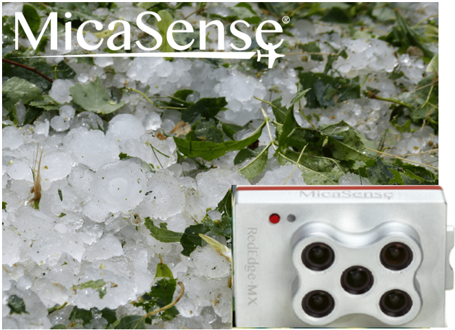 MicaSense社RedEdge-MXの活用事例：森林における雹(ひょう)の被害調査