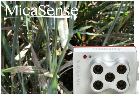 MicaSense社RedEdge-MXの活用事例：小麦への肥料と殺菌剤の影響を研究